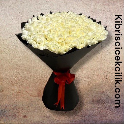 151 Beyaz Gül Buketi