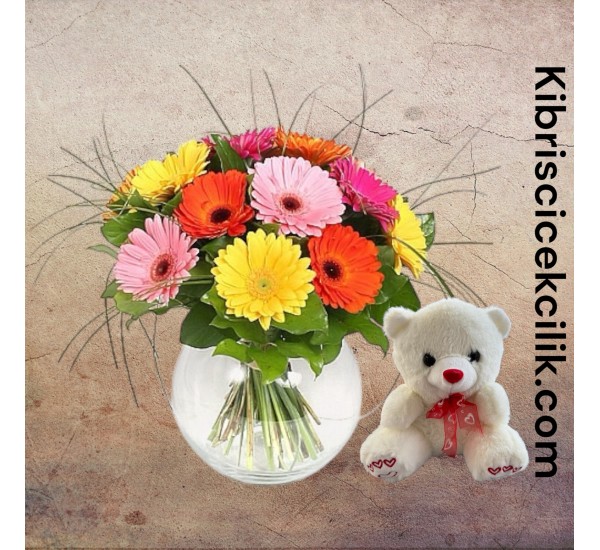 Akvaryumda Gerbera Ayıcık Akvaryumda Gerbera Ayıcık