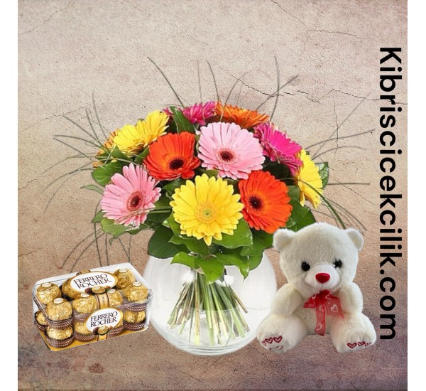 Akvaryumda Gerbera Ayıcık 16'lı Ferrero Çikolata Akvaryumda Gerbera Ayıcık 16'lı Ferrero Çikolata