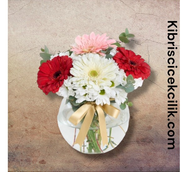 Akvaryumda Karışık Çiçek Akvaryumda Karışık Çiçek