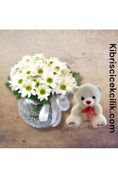 Akvaryumda Papatya Ayıcık Akvaryumda Papatya Ayıcık