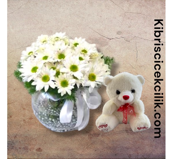 Akvaryumda Papatya Ayıcık Akvaryumda Papatya Ayıcık