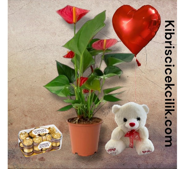 Antoryum Çiçeği Ayıcık 16'lı Ferrero Çikolata Kalp Helyum Balon