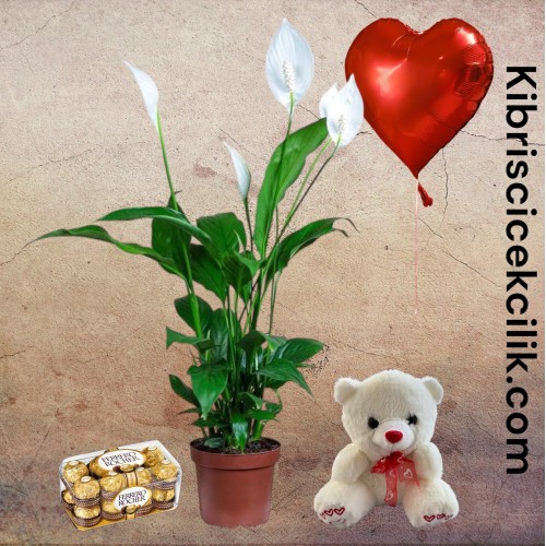 Beyaz Spatifilyum Çiçeği Ayıcık 16'lı Ferrero Çikolata Kalp Helyum Balon