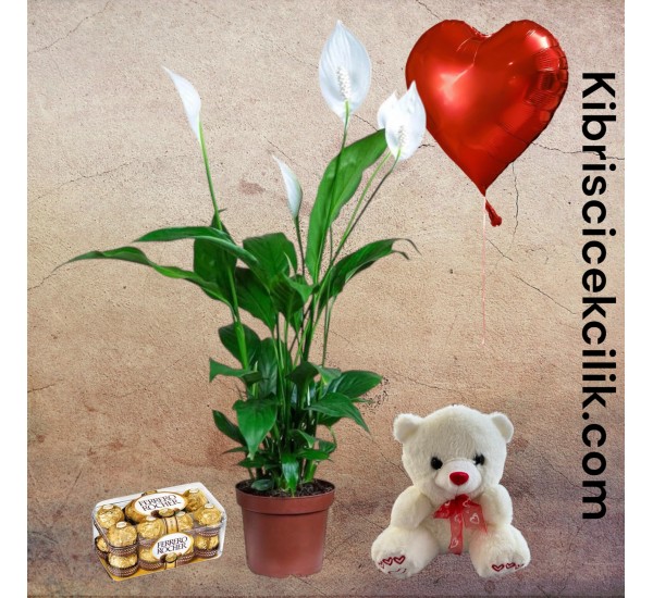 Beyaz Spatifilyum Çiçeği Ayıcık 16'lı Ferrero Çikolata Kalp Helyum Balon