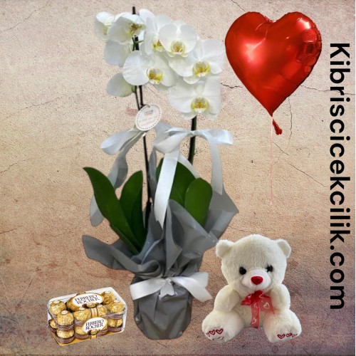 Çift Dal Beyaz Orkide Ayıcık 16'lı Ferrero Çikolata Kalp Helyum Balon