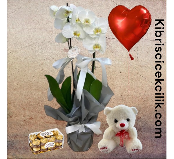 Çift Dal Beyaz Orkide Ayıcık 16'lı Ferrero Çikolata Kalp Helyum Balon Çift Dal Beyaz Orkide Ayıcık 16'lı Ferrero Çikolata Kalp Helyum Balon