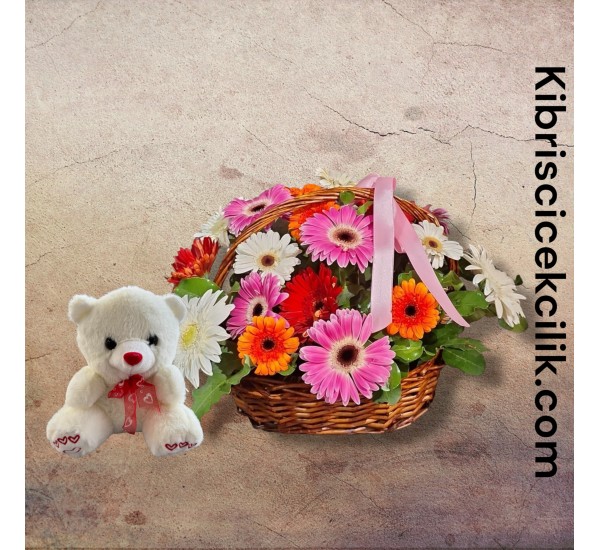 Sepette Gerbera Ayıcık