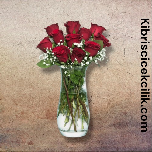 Vazoda 11 Kırmızı Gül