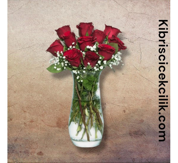 Vazoda 11 Kırmızı Gül Vazoda 11 Kırmızı Gül