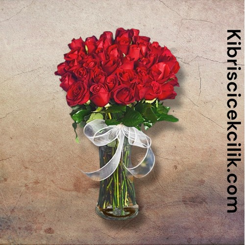 Vazoda 41 Kırmızı Gül 