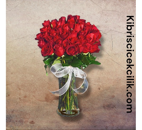 Vazoda 41 Kırmızı Gül Vazoda 41 Kırmızı Gül