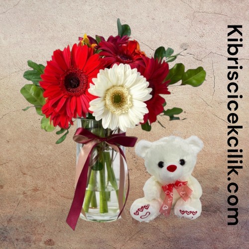 Vazoda Gerbera Ayıcık 