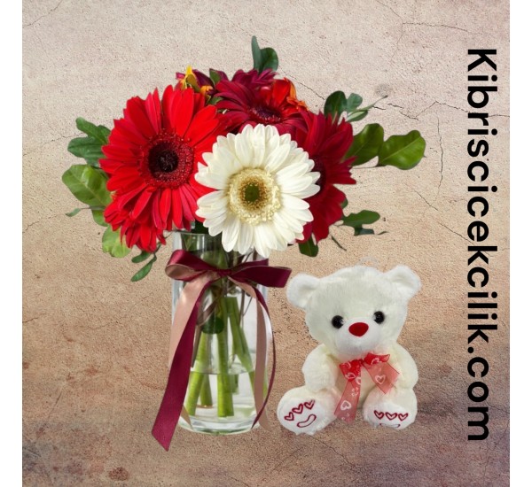 Vazoda Gerbera Ayıcık Vazoda Gerbera Ayıcık