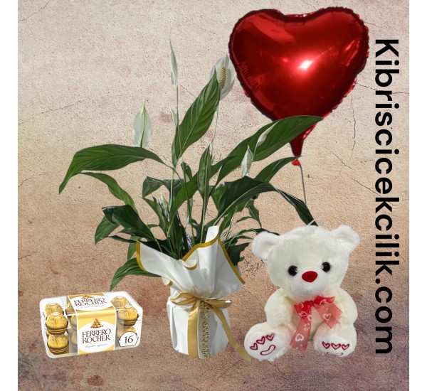 Beyaz Spatifilyum Çiçeği Ayıcık 16'lı Ferrero Çikolata Kalp Helyum Balon