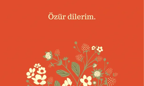 Özür Dilerim İçin Kart Notları